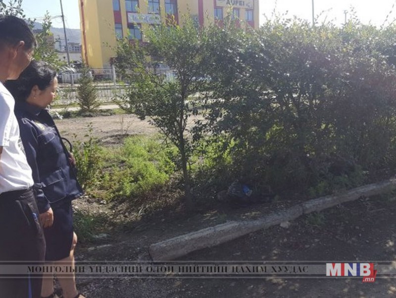 Вокзалын арын саданд 2ш тарвага хаясан байсныг илрүүллээ