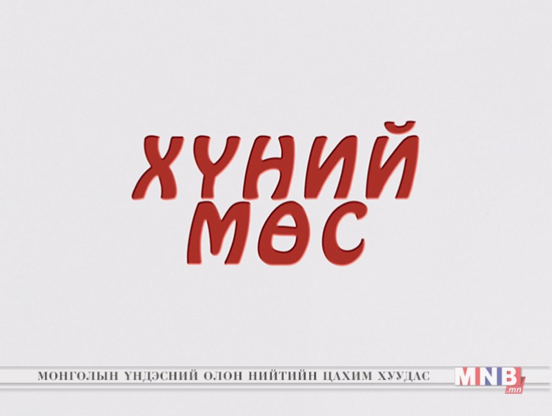 "Хүний мөс" ОАУСК /20-р анги/