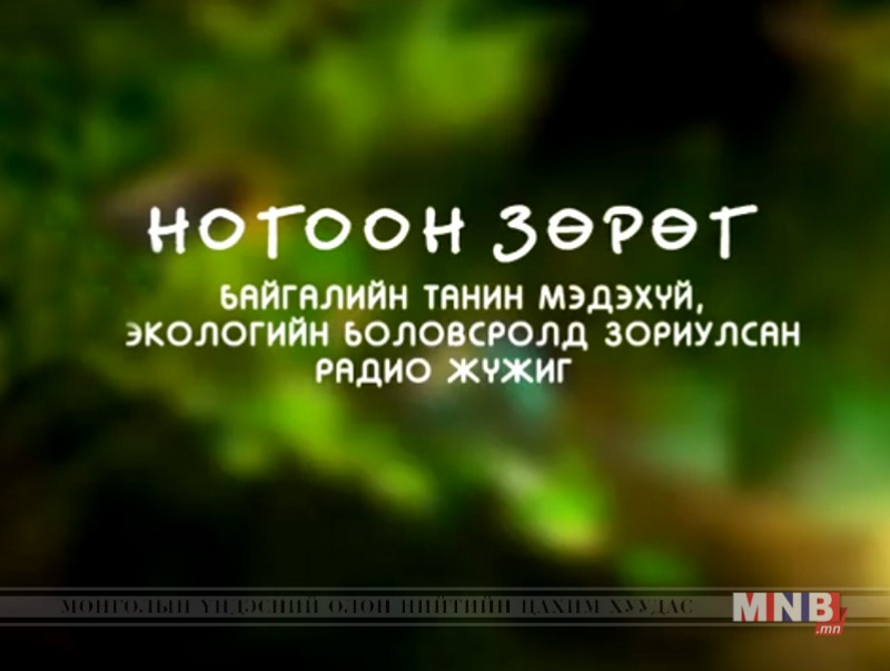Загийн инээмсэглэл