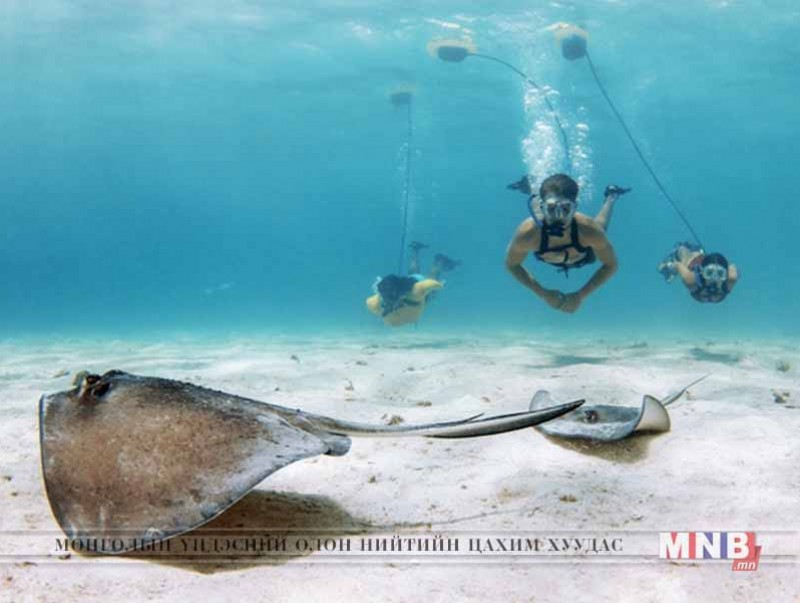 Усанд шумбахад зориулагдсан "Nemo" аппарат
