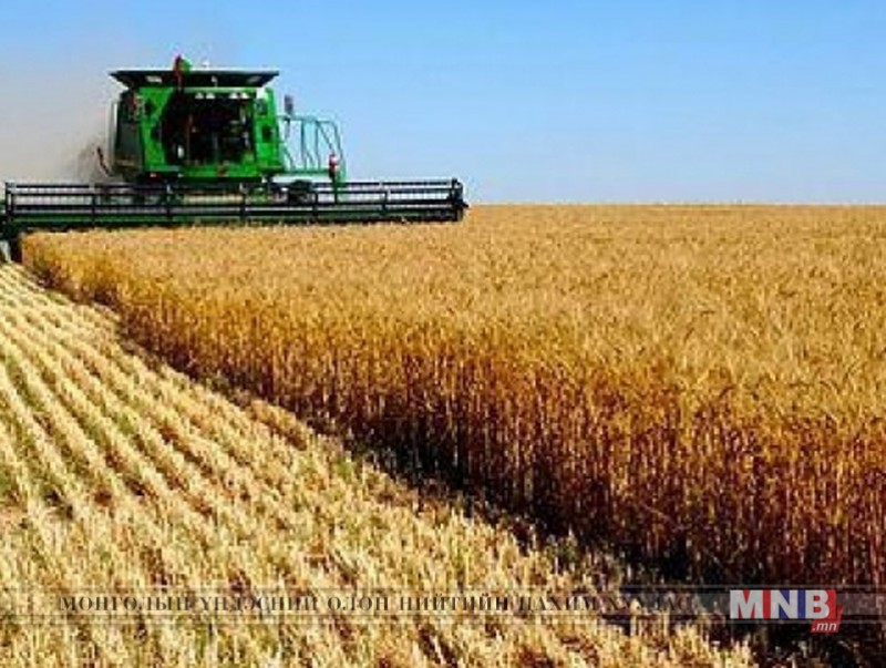 Дорнод аймгийн хэмжээнд ургац хураалт 25,3 хувьтай байна