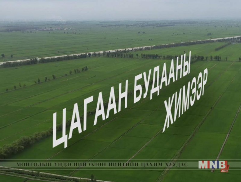 "Цагаан будааны жимээр" /2018.10.16/