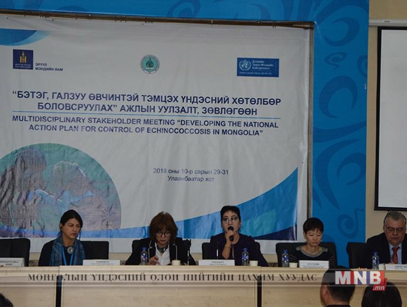 "Бэтэг, галзуу өвчний хяналт, сэргийлэлтийн үндэсний хөтөлбөр боловсруулах" зөвлөгөөн болж байна