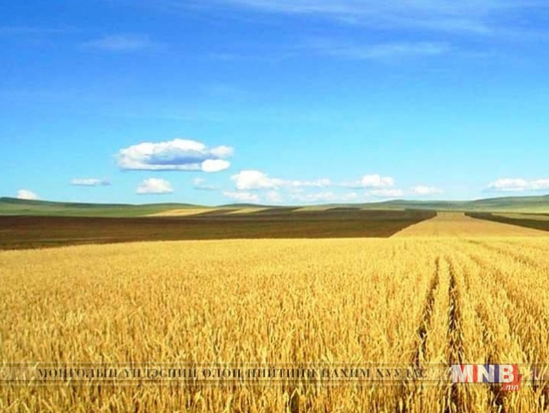 Тариалангийн талбайд мал, тэжээвэр амьтан орсны улмаас үйлдвэрлэл эрхлэгчид учруулсан хохирлыг тооцно