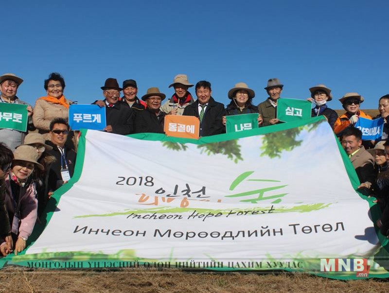 Хогийн цэгийг хотын ой болгох төсөл эхэллээ