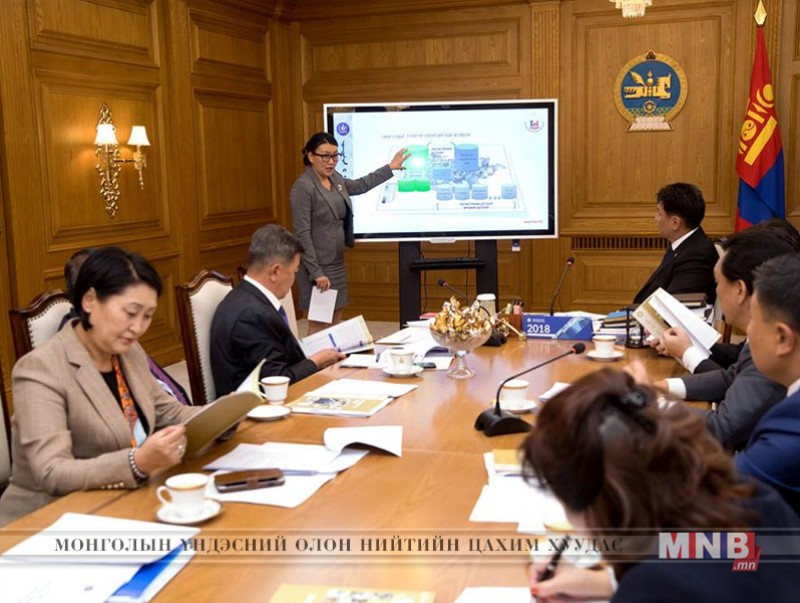 Хүн ам, орон сууцны тооллого явуулахад баримтлах мастер төлөвлөгөө баталлаа