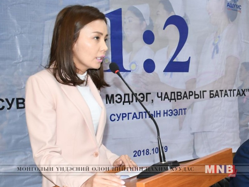 “Мэргэшлийн үйл ажиллагаа эрхлэх шалгалтад дэмжлэг үзүүлэх” ээлжит сургалт эхлэв