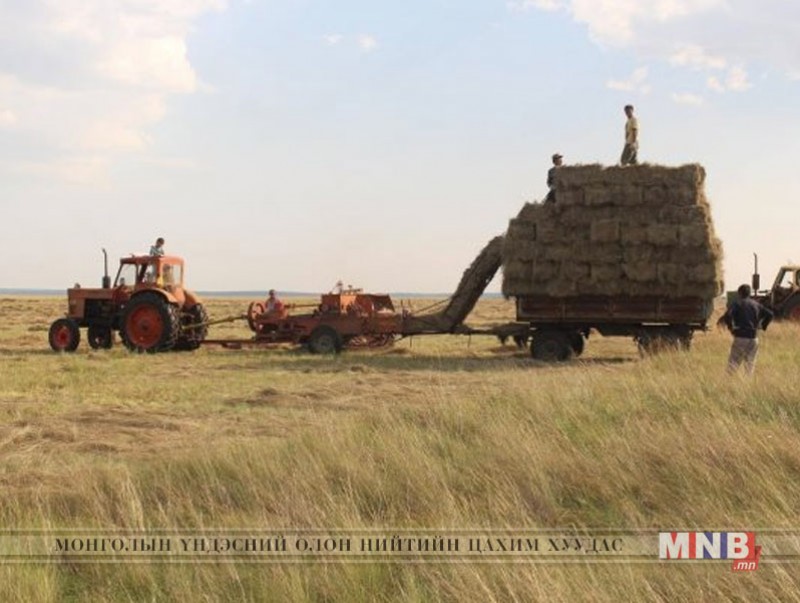 Улсын хэмжээнд нийт 1,1 сая тонн өвс, 107.6 мянган тонн давс, хужир бэлтгээд байна