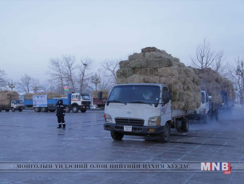 Өмнөговь аймагт одоогоор өвөлжилтийн бэлтгэл ажил 88 хувь хангагджээ