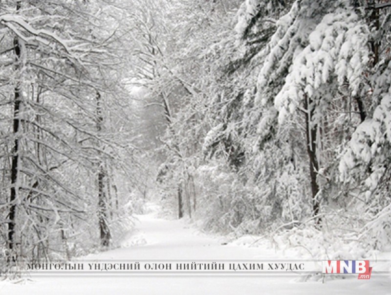 Өнөөдөр баруун болон төвийн аймгуудын хойд хэсгээр цас орно