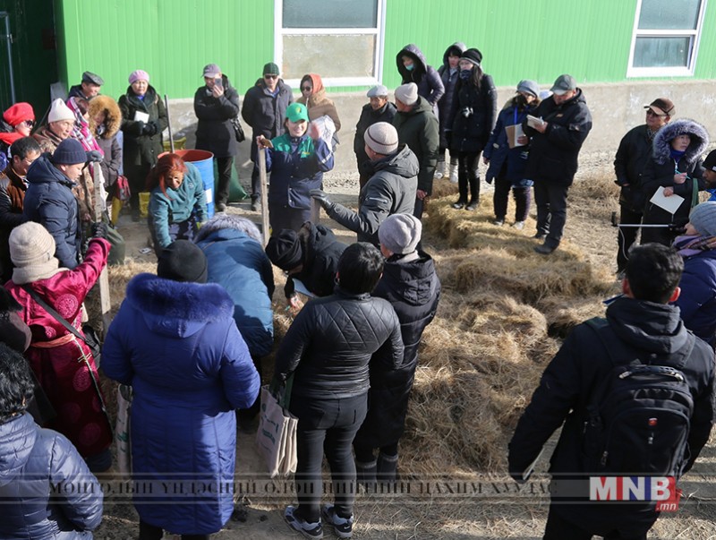 Органик бордоо хийх аргад суралцлаа