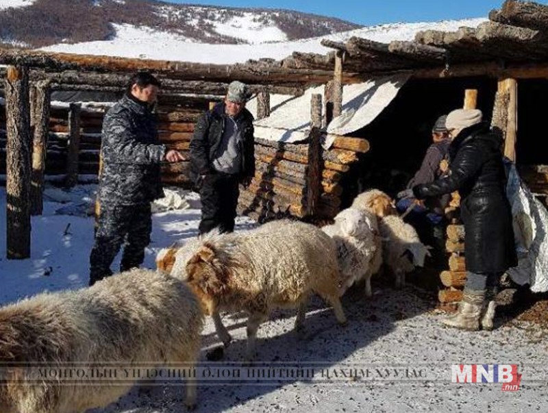 Монгол Улсын мал 66463.7 мянга болж өмнөх жилээс 244.7 мянгаар өслөө