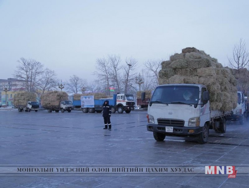 Малчдад хямд үнэтэй өвс тэжээл шаардлагатай байна