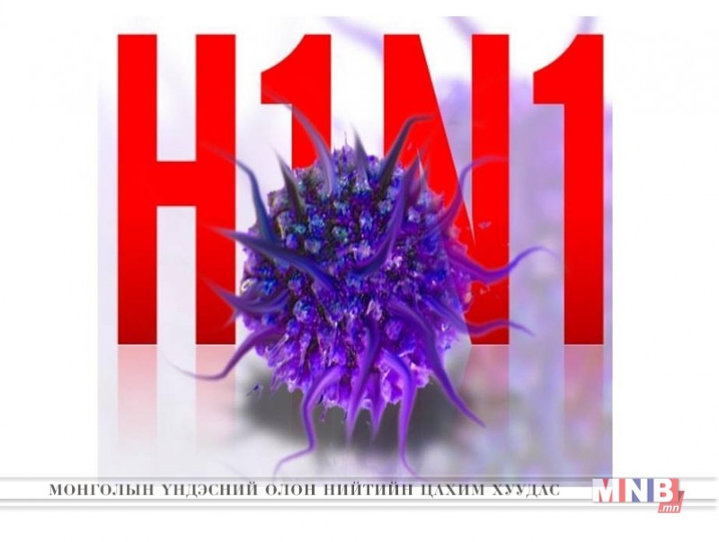 Баян-Өлгийд дөрвөн хүүхдээс H1N1 вирус илэрчээ