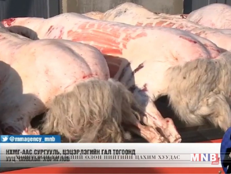 Сургууль, цэцэрлэгийн гал тогоонд ууц чанахыг хориглов