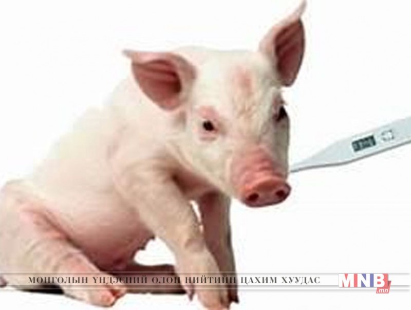 Гахайн мялзан өвчнөөс сэргийлье
