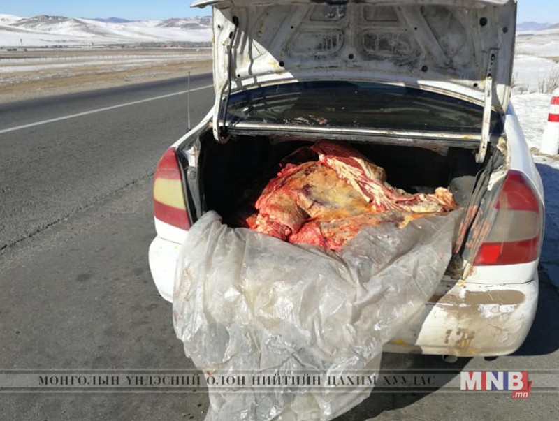 Мал хулгайлах гэмт хэрэг үйлдсэн иргэдийг илрүүлэн саатууллаа