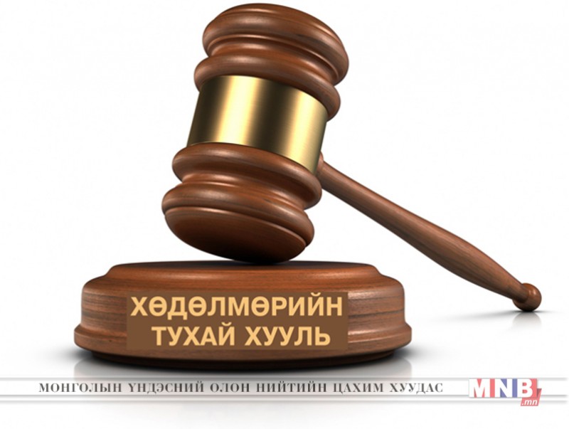 Хуульчид шинээр боловсруулсан хөдөлмөрийн тухай хуулийг шүүмжилж байна