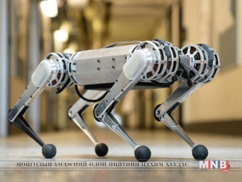 “Cheetah” робот сальто эргэж сурчээ