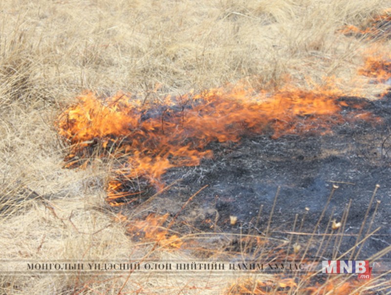 Тариалангийн үйлдвэрлэл эрхэлж байгаа газарт өвс, сүрэл шатаахыг хориглоно