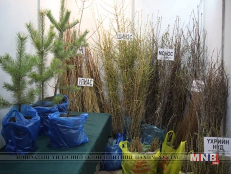 Тарьц суулгацын нөөцийн мэдээллийг нэгтгэн гаргалаа