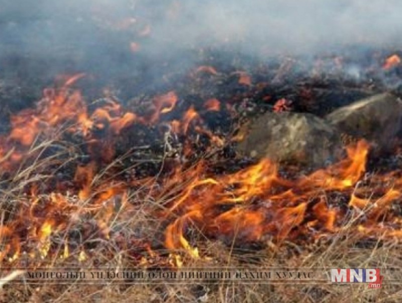 Дорнод аймагт 1000 га талбай шатжээ