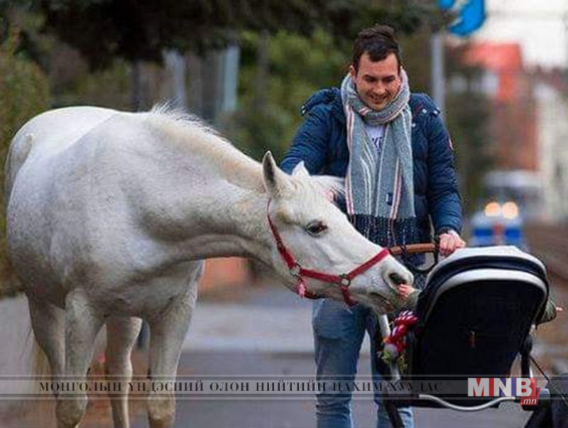 Франкфурт хотын нэгэн гудамжинд өглөө бүр ийм нэгэн дүр зургийг харж болно