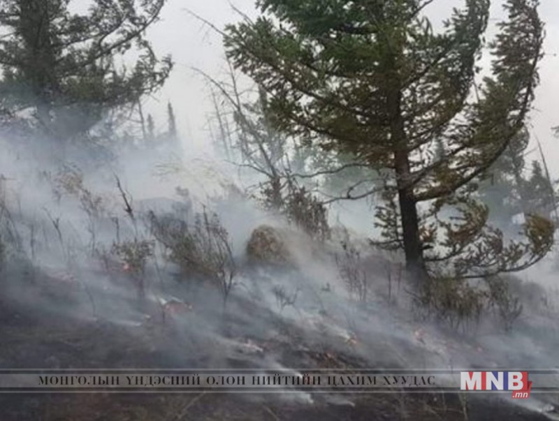 Богдхан ууланд гал алдсан этгээдүүдийг барьж, саатуулсан байна