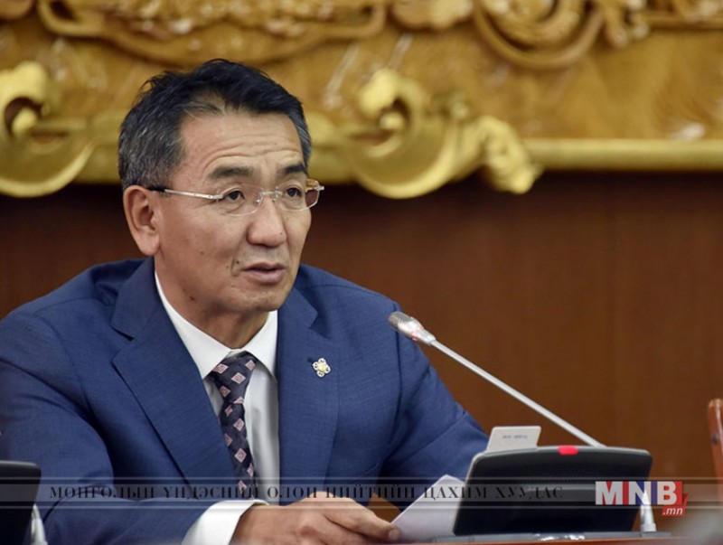 Монгол Улсад 220 мянган хүн албан бус салбарт ажиллаж байна