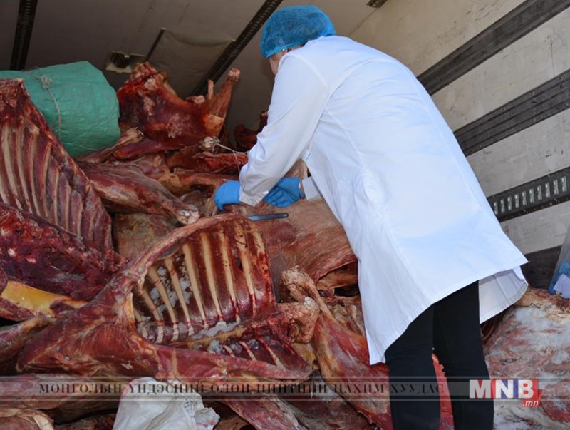 Шинжилгээгээр өвчтэй болон үхэж хорогдсон малын мах байсан нь тогтоогдлоо