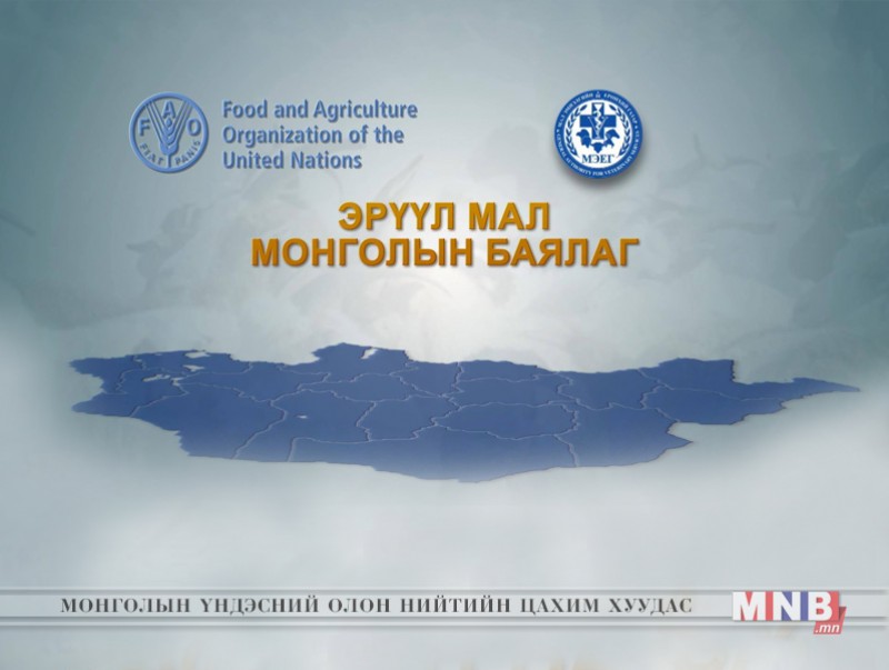 Эрүүл мал Монголын баялаг
