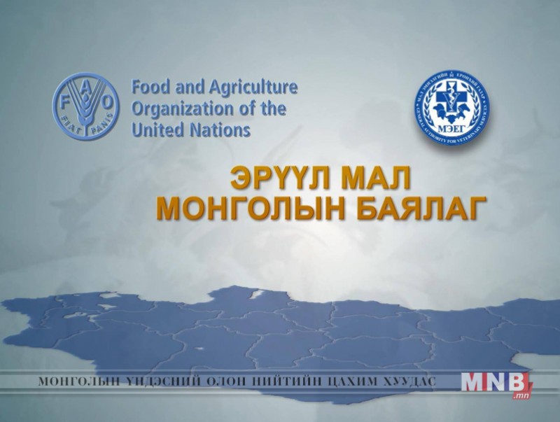 Эрүүл мал Монголын баялаг