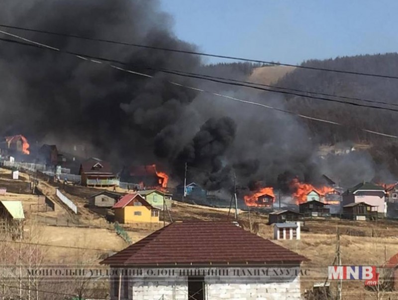 "Гоодойн ам”-д гарсан түймрийг цурманд оруулжээ