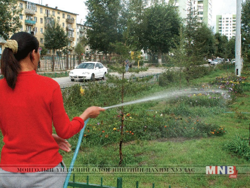 Нийслэлийн ногоон байгууламжийг нэмэх шаардлагатай