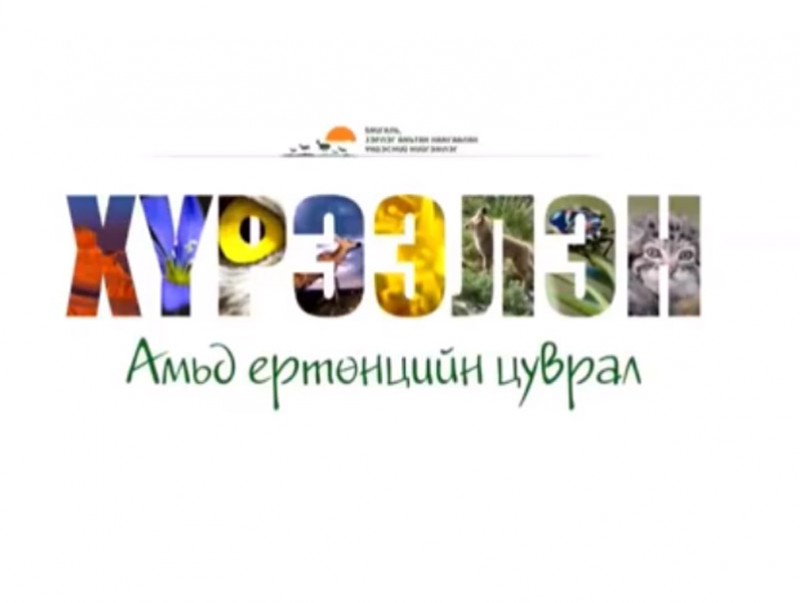 “Хүрээлэн” амьд ертөнцийн цуврал