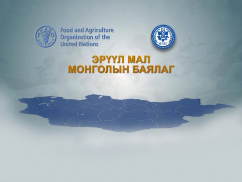 Эрүүл мал Монголын баялаг