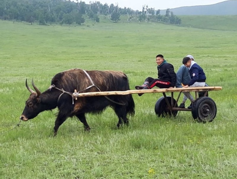 Хүүхдүүд монгол ёс заншилд суралцаж байна