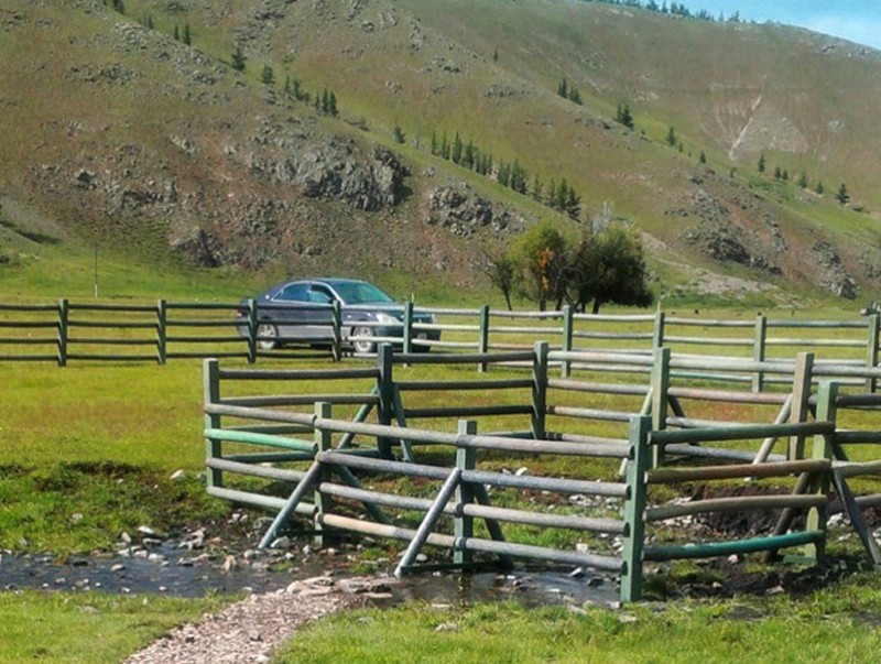 Булгийн эхийг тохижуулж, хамгаалалтад авлаа