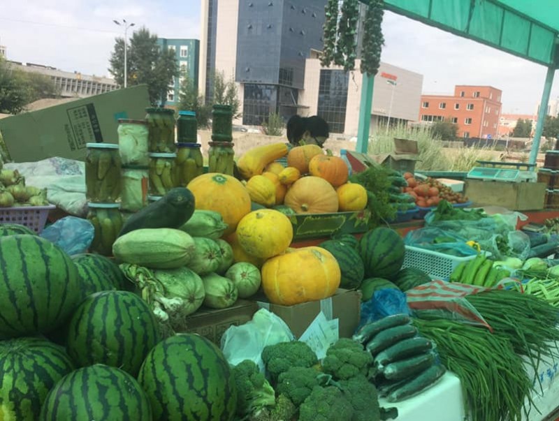 Эх орны хөрсөнд боловсорсон эрүүл хүнсээ худалдан авцгаая