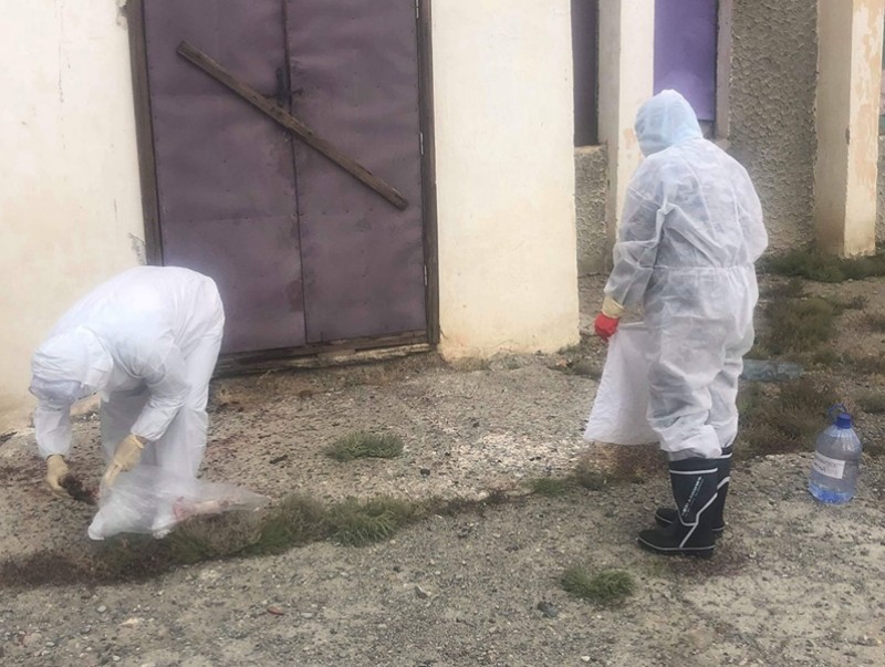 Тарваган тахал өвчнөөс сэргийлэхийг сэрэмжлүүлж байна