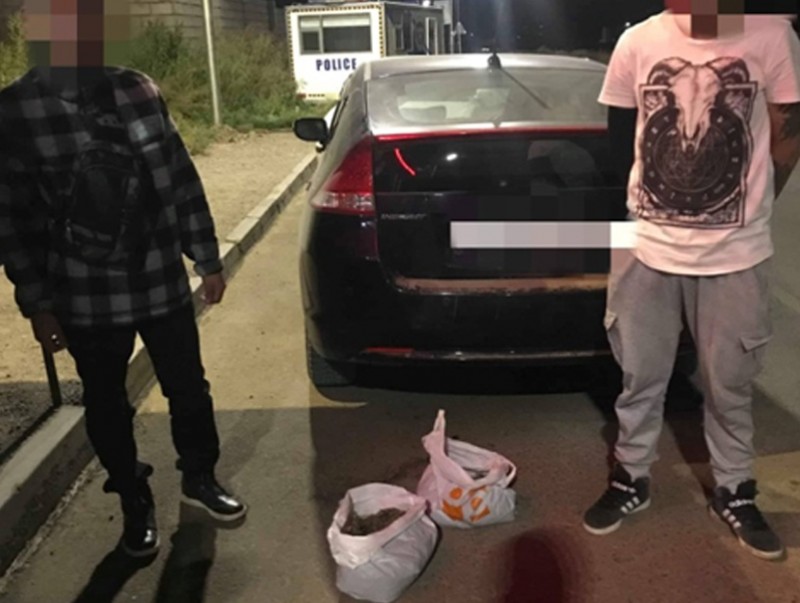 Мансууруулах буюу сэтгэцэд нөлөөлөх төрлийн ургамал тээвэрлэж явсныг илрүүллээ