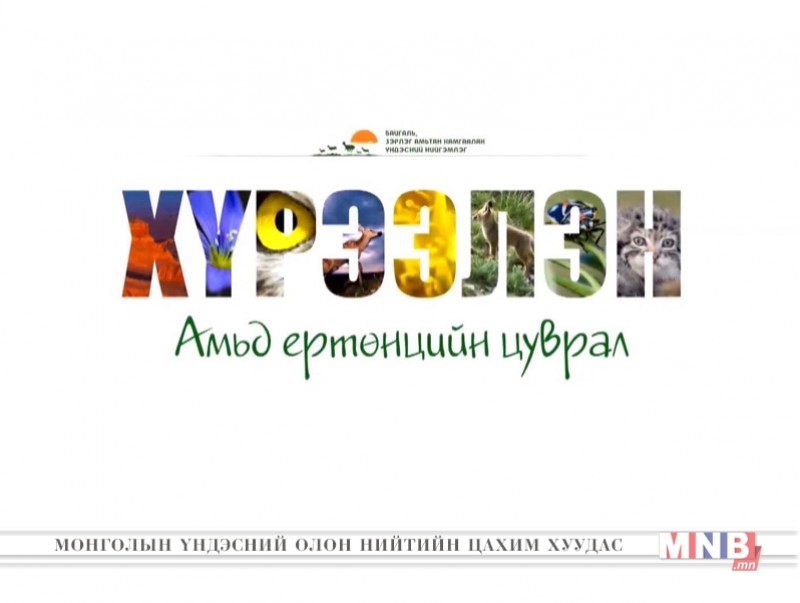 “Хүрээлэн” амьд ертөнцийн цуврал /2019.09.12/