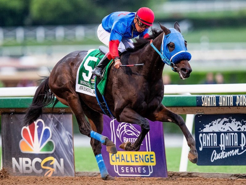 Д.Ганбаатарын “Mongolian Groom” үрээ “Breeders Cup Classic”-т уралдахаар бүртгүүлжээ