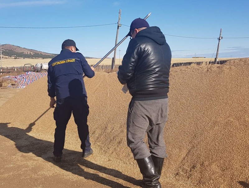 Ирэх оны тариалалтад шаардагдах үрийн нөөц бүрдэлт хангалтгүй байна