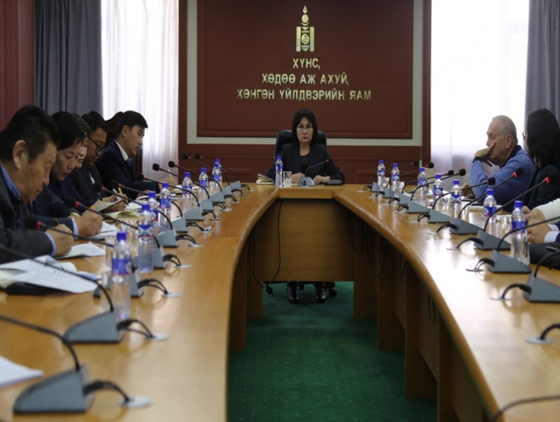 Монгол Улсад Хөдөлмөр эрхлэлтийг дэмжих төслийн мэдээлэл солилцох уулзалт болов