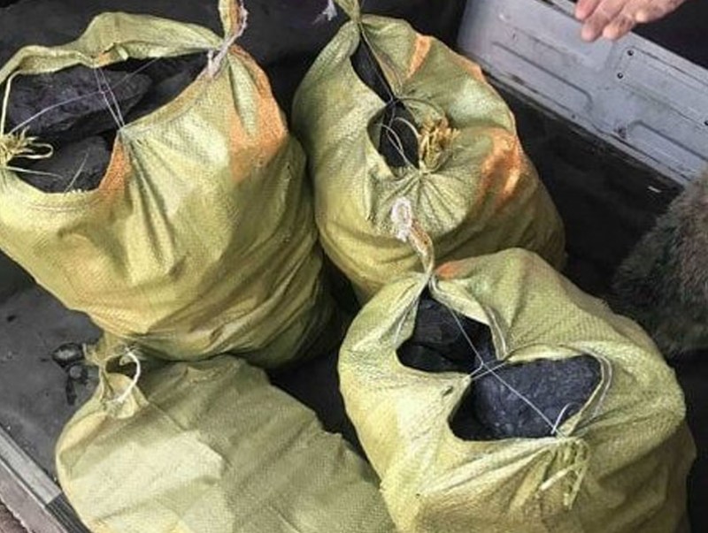 Гурван шуудай түүхий нүүрс тээвэрлэж явсныг илрүүлжээ