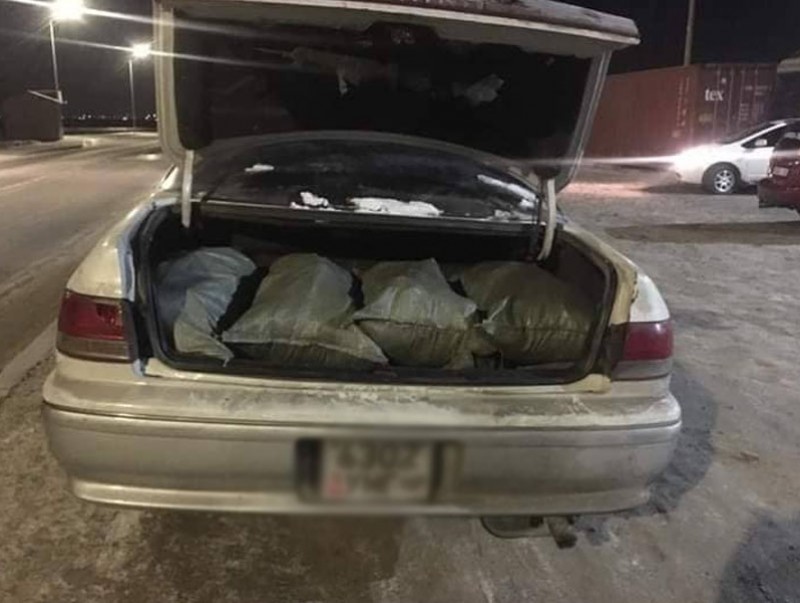 Арван шуудай түүхий нүүрс тээвэрлэж явсныг саатуулжээ