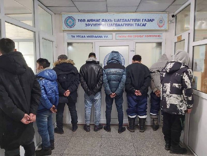 Нийт 112 адуу хулгайлсан бүлэг этгээдүүдийг илрүүллээ