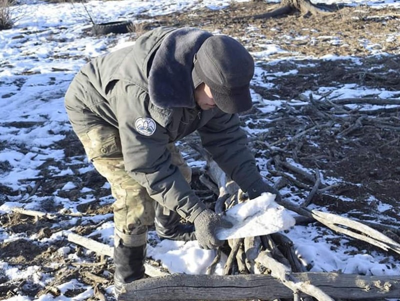Ширээт нуурын онцгой бүсэд ногоон өвс, хужир давс тараан байршууллаа