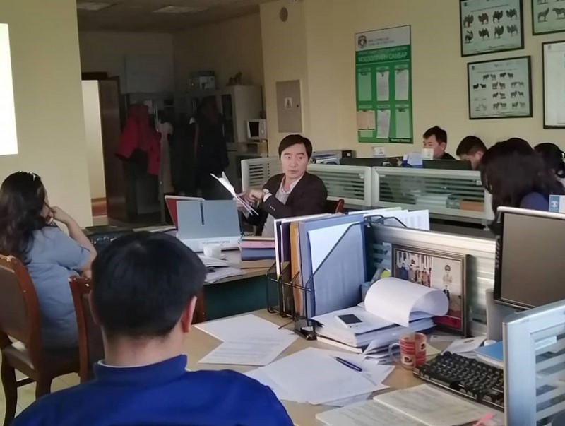 Ажлын хэсэг Нийслэлийн Хүнс хөдөө аж ахуйн газар, Мал эмнэлгийн газарт ажиллав